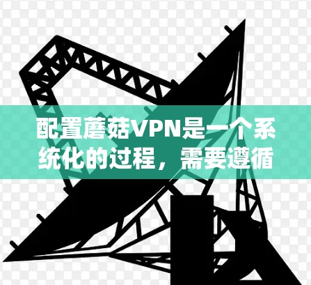 配置蘑菇VPN是一个系统化的过程，需要遵循以下步骤和配置，以确保安全和隐私。以下是详细的步骤说明