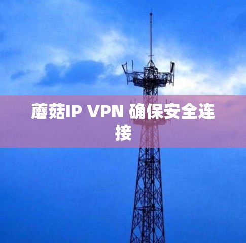 蘑菇IP VPN 确保安全连接