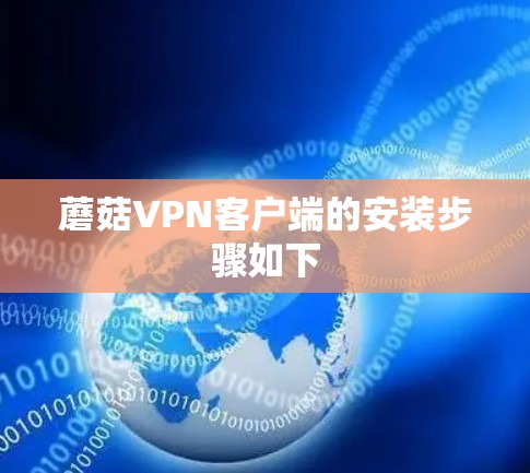 蘑菇VPN客户端的安装步骤如下
