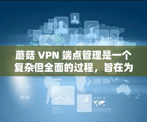 蘑菇 VPN 端点管理是一个复杂但全面的过程，旨在为用户提供多端点、多用户和多服务器的VPN连接。以下是对蘑菇 VPN 端点管理的详细说明