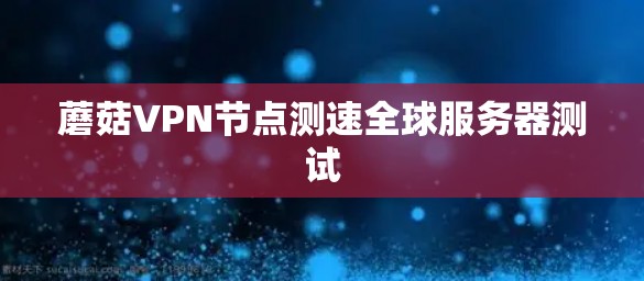 蘑菇VPN节点测速全球服务器测试