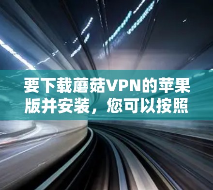 要下载蘑菇VPN的苹果版并安装，您可以按照以下步骤操作