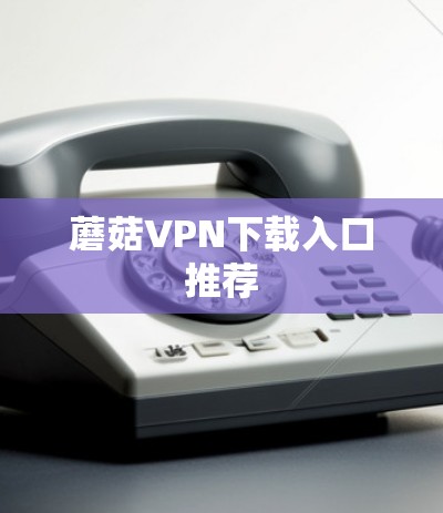 蘑菇VPN下载入口推荐 蘑菇VPN下载入口推荐