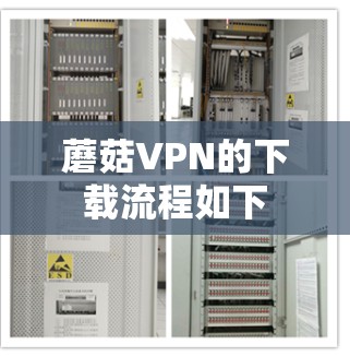蘑菇VPN的下载流程如下