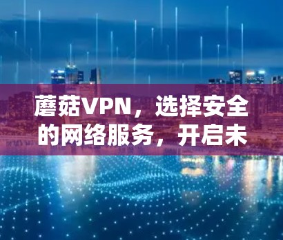 蘑菇VPN，选择安全的网络服务，开启未来