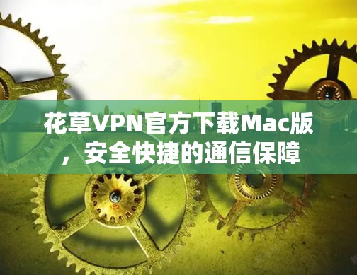 花草VPN官方下载Mac版，安全快捷的通信保障