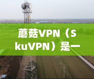蘑菇VPN（SkuVPN）是一个知名的VPN服务，提供多种VPN体验，包括免费、paid 和 paid 预约选项。以下是关于蘑菇VPN的最新更新信息