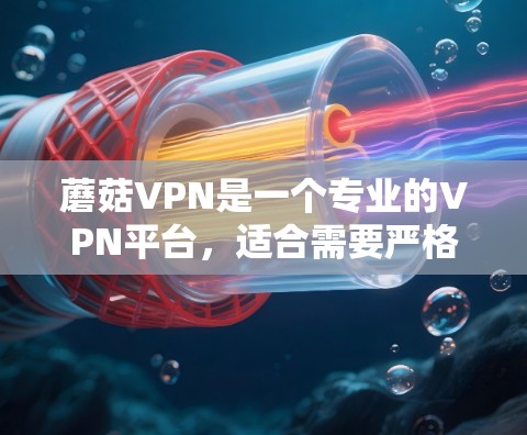 蘑菇VPN是一个专业的VPN平台,适合需要严格安全防护的用户。以下是使用蘑菇VPN的步骤和技巧 蘑菇VPN是一个专业的VPN平台,适合需要严格安全防护的用户。以下是使用蘑菇VPN的步骤和技巧