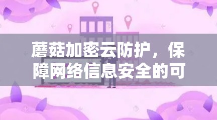 蘑菇加密云防护，保障网络信息安全的可靠选择