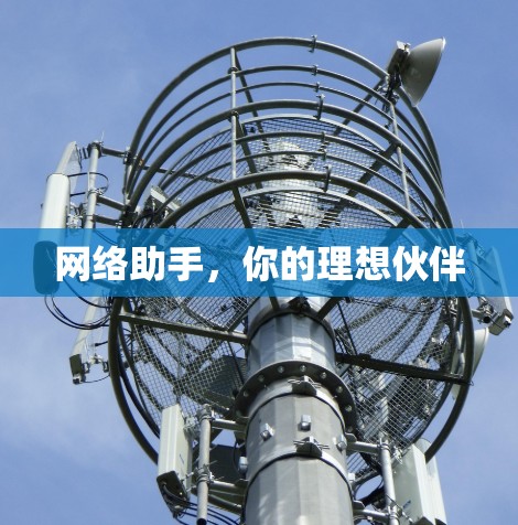 网络助手，你的理想伙伴