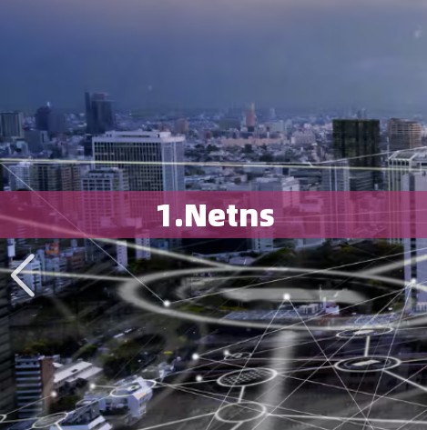 1.Netns
