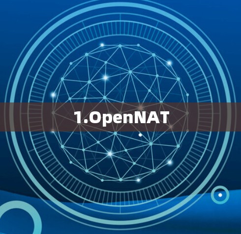1.OpenNAT