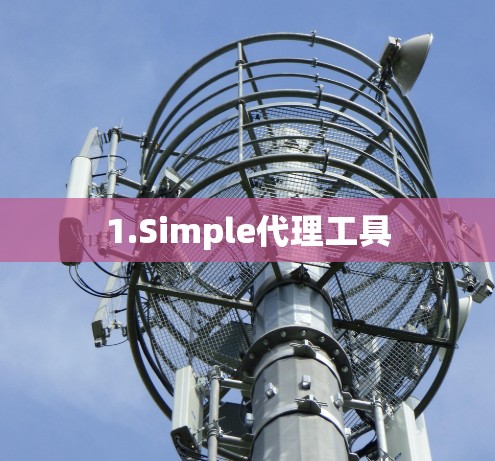 1.Simple代理工具 1.Simple代理工具