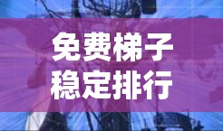 免费梯子稳定排行,从优化到平衡的解决方案 免费梯子稳定排行,从优化到平衡的解决方案