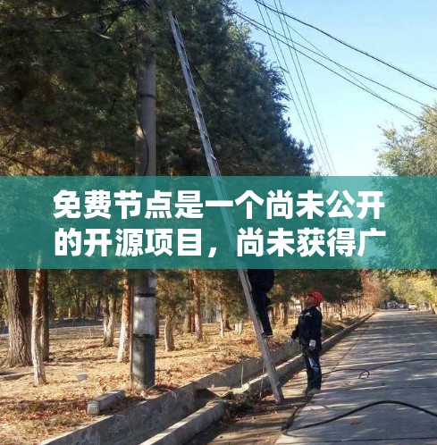 免费节点是一个尚未公开的开源项目,尚未获得广泛认可。以下是关于该项目的初步分析和建议 免费节点是一个尚未公开的开源项目,尚未获得广泛认可。以下是关于该项目的初步分析和建议