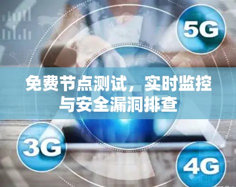 免费节点测试，实时监控与安全漏洞排查