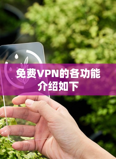 免费VPN的各功能介绍如下 免费VPN的各功能介绍如下