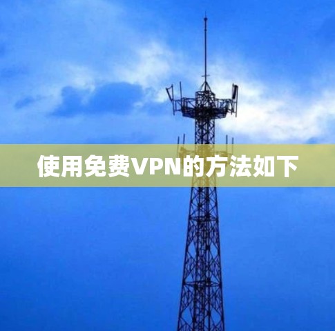 使用<strong>免费VPN</strong>的方法如下