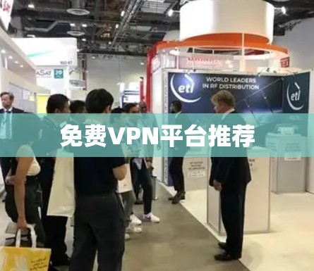 <strong>免费VPN</strong>平台推荐
