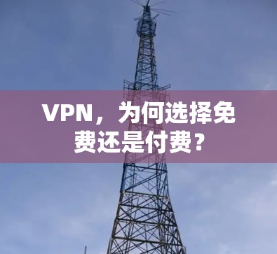 VPN,为何选择免费还是付费?