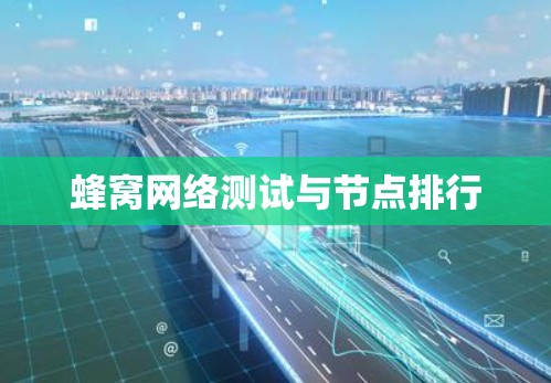 蜂窝网络测试与节点排行 蜂窝网络测试与节点排行