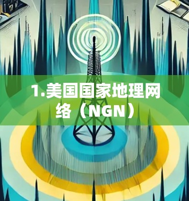 1.美国国家地理网络(NGN) 1.美国国家地理网络(NGN)