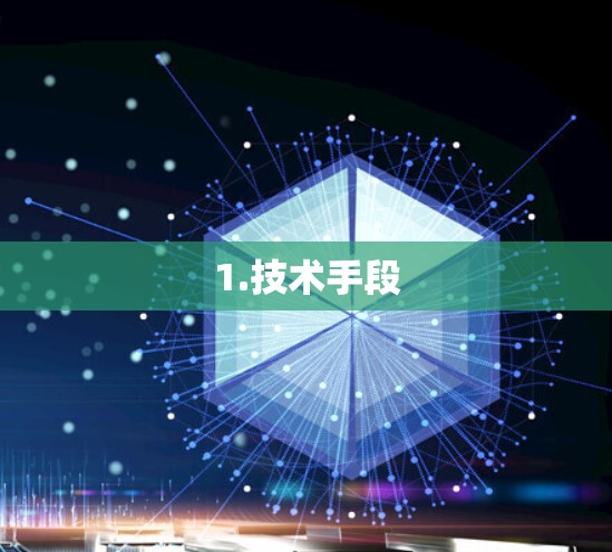 1.技术手段
