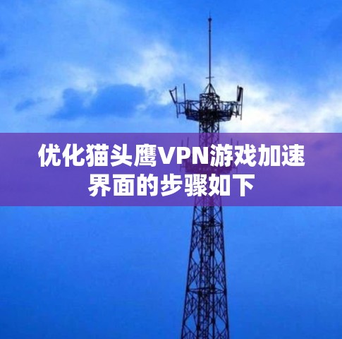 优化猫头鹰VPN游戏加速界面的步骤如下 优化猫头鹰VPN游戏加速界面的步骤如下