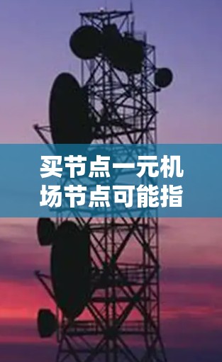 买节点一元机场节点可能指的是购买或管理一个机场节点，通常指一个机场作为一个独立的网络枢纽，与其他机场或区域进行连接或运营。以下是一些建议和步骤，帮助您理解如何购买或运营一个机场节点