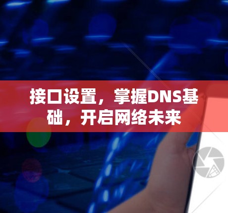 接口设置,掌握DNS基础,开启网络未来