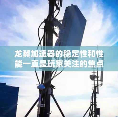 龙翼加速器的稳定性和性能一直是玩家关注的焦点,尤其是当玩家频繁使用加速器时,可能会遇到加速器运行不稳定、卡顿、延迟等问题。以下是关于龙翼加速器稳定体验的详细分析和建议