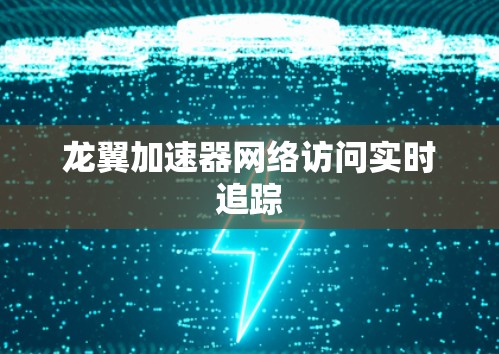 龙翼加速器网络访问实时追踪