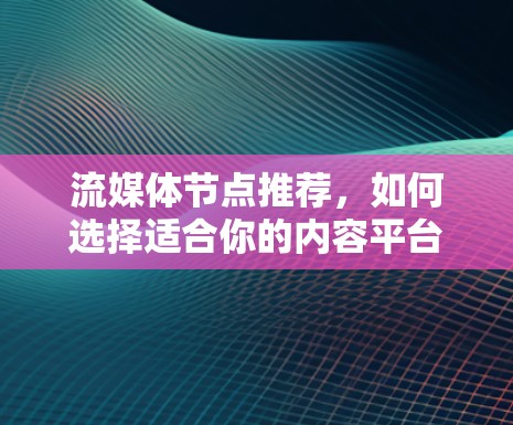 流媒体节点推荐,如何选择适合你的内容平台