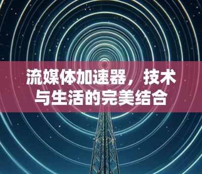 流媒体加速器,技术与生活的完美结合