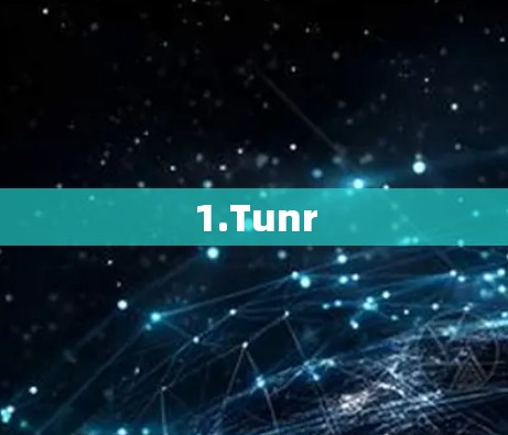 1.Tunr