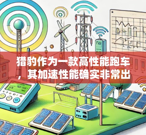 猎豹作为一款高性能跑车，其加速性能确实非常出色。关于猎豹加速器连接速度，以下是一些关键信息