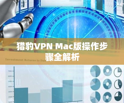 猎豹VPN Mac版操作步骤全解析