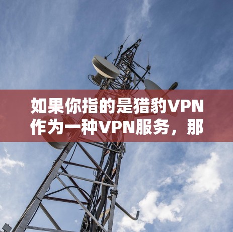 如果你指的是猎豹VPN作为一种VPN服务，那么官方正版软件可能指的是那些由猎豹VPN公司自己提供的软件，这些软件通常会附带相关的官方文档和使用指南，供用户参考使用