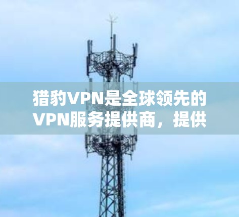 猎豹VPN是全球领先的VPN服务提供商，提供多种VPN平台，包括官方网站、iOS和Android下载