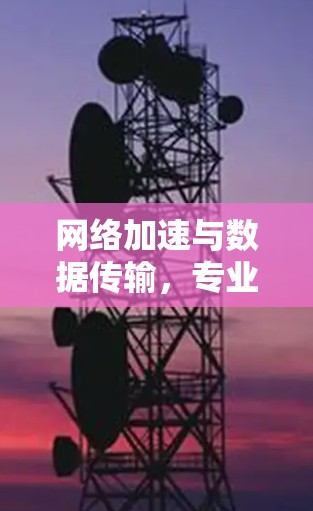 网络加速与数据传输，专业级解决方案，为您的网络加速之路保驾护航！