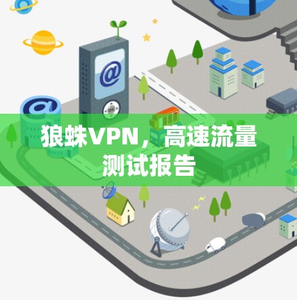 狼蛛VPN,高速流量测试报告
