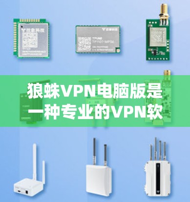 狼蛛VPN电脑版是一种专业的VPN软件，专为Windows系统设计，提供多种VPN服务，包括IP隔离、端到端加密和端到端安全等。以下是关于狼蛛VPN电脑版的详细分析