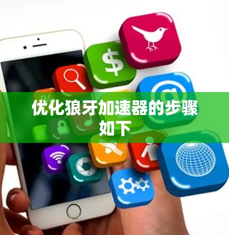 优化狼牙加速器的步骤如下
