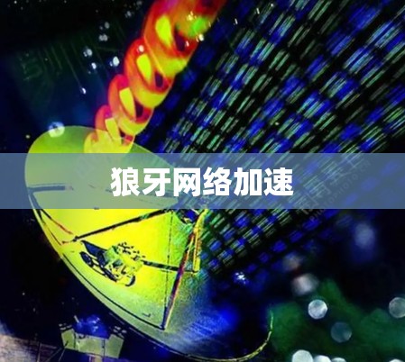 狼牙网络加速