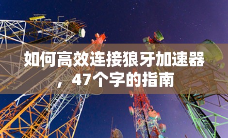 如何高效连接狼牙加速器,47个字的指南