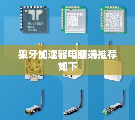 狼牙加速器电脑端推荐如下
