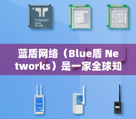 蓝盾网络(Blue盾 Networks)是一家全球知名的网络安全公司,专注于提供网络监控、安全防护和网络设备维护服务。蓝盾网络的网络测试报告和节点测速数据有助于了解其网络环境和性能表现