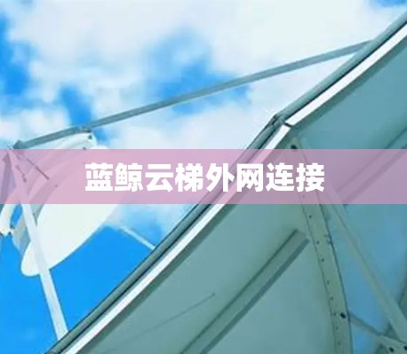 蓝鲸云梯外网连接