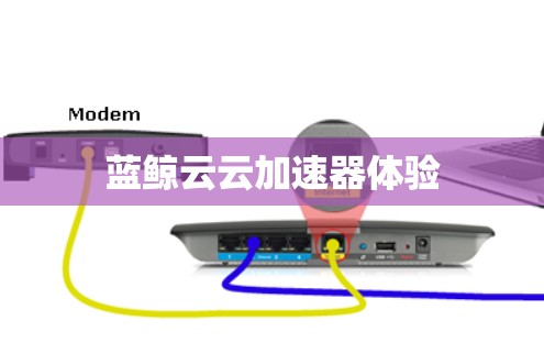 蓝鲸云云加速器体验