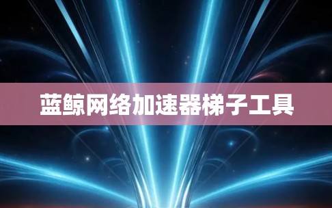 蓝鲸网络加速器梯子工具